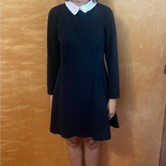 Wednesday Adams Dress-White Collar-Long Sleeve-See Measurements-FINAL PRICE - Picture 2 of 8